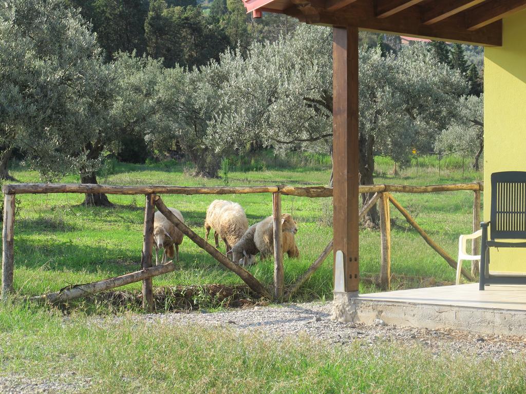 Holiday Home Stella Di Sicilia Acquedolci Buitenkant foto